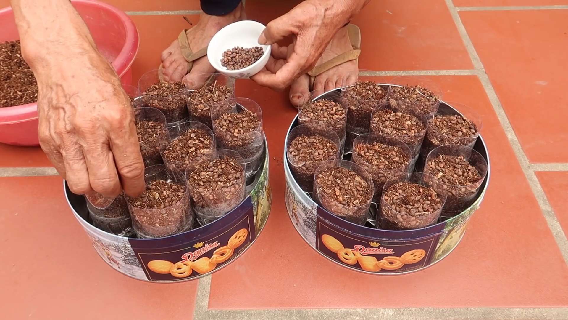 Plastikflaschen Garten Spinat anbauen