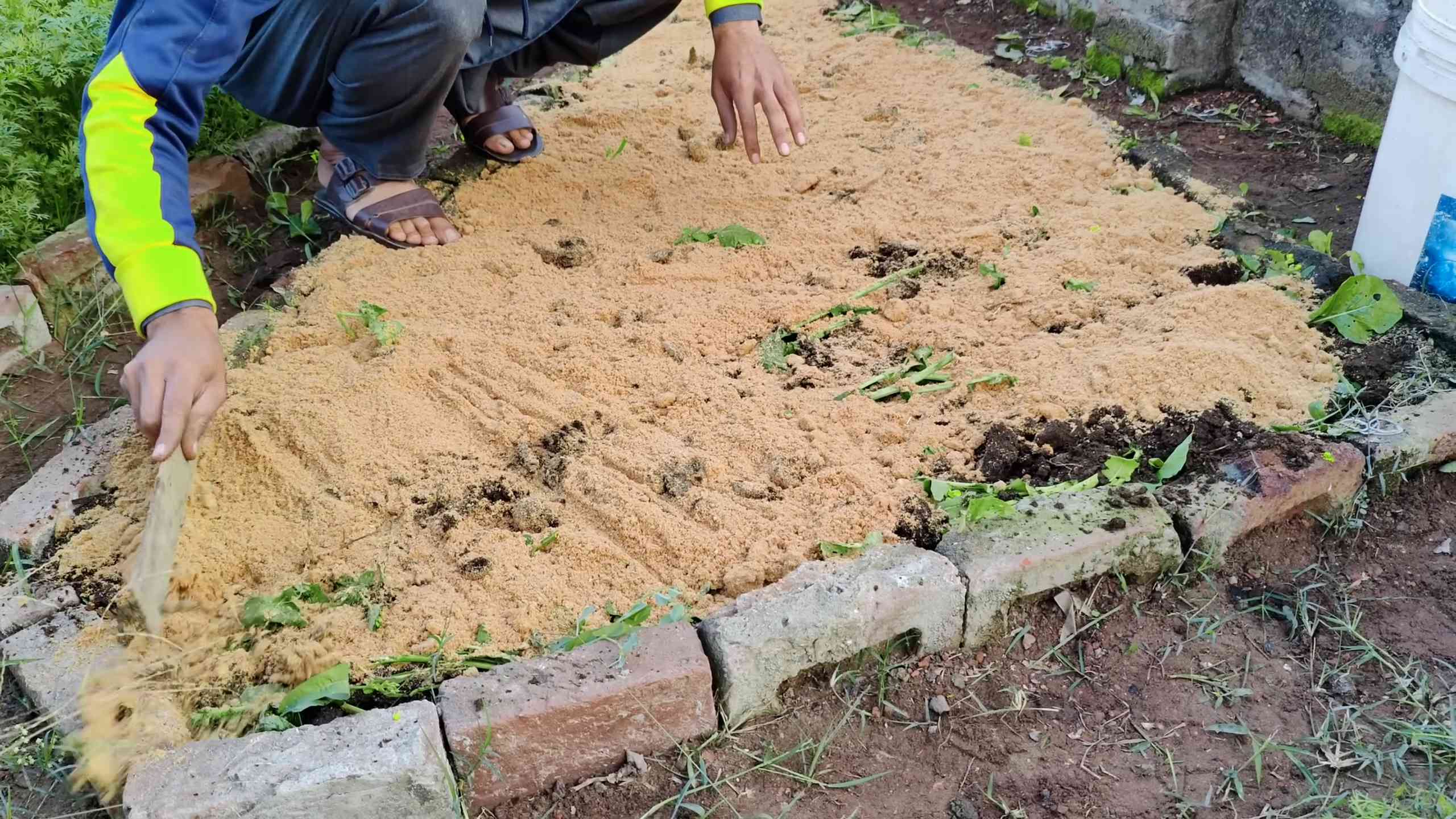 Sägemehl im Garten verwenden