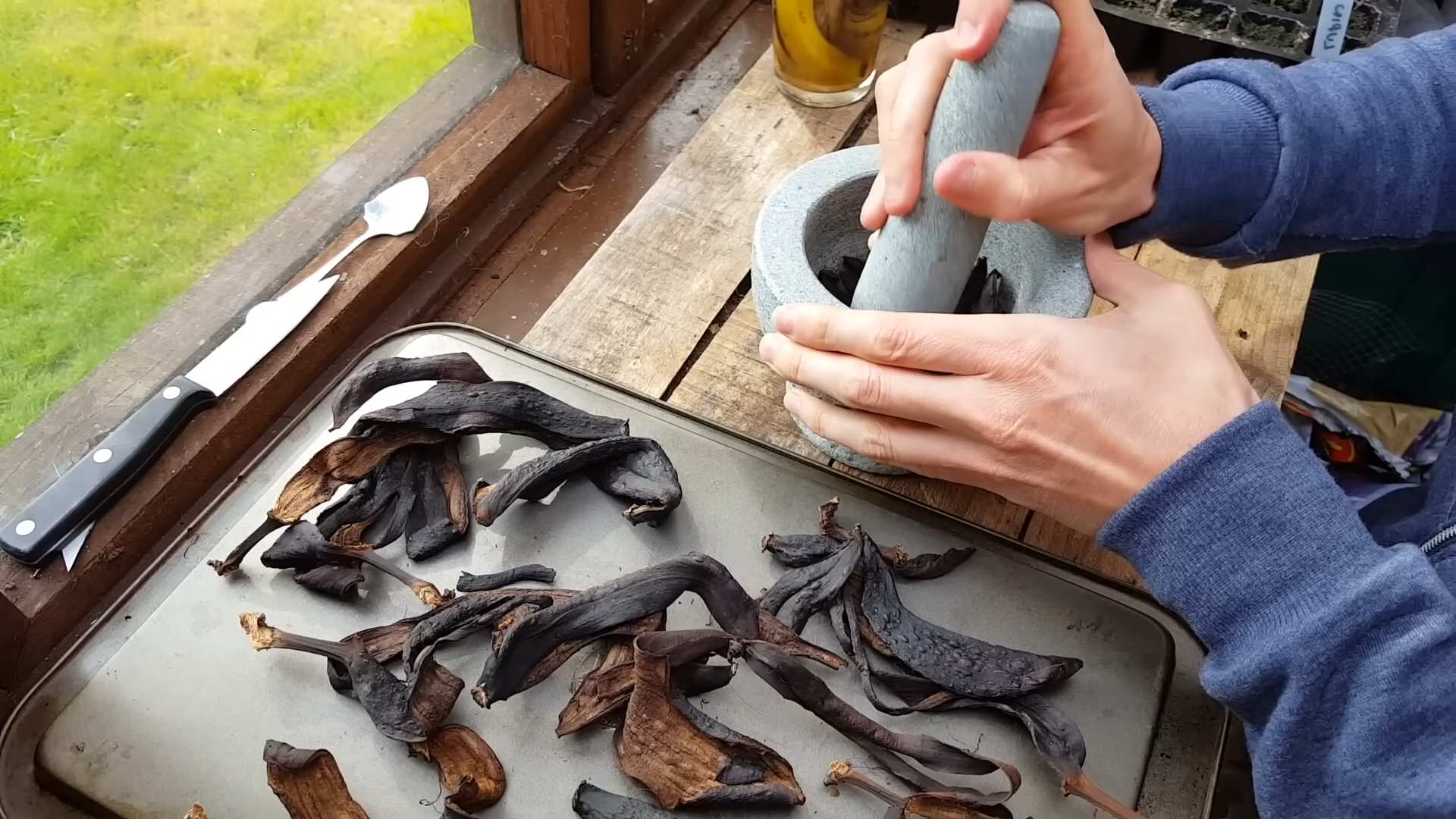 Bananenschalen Dünger selber machen