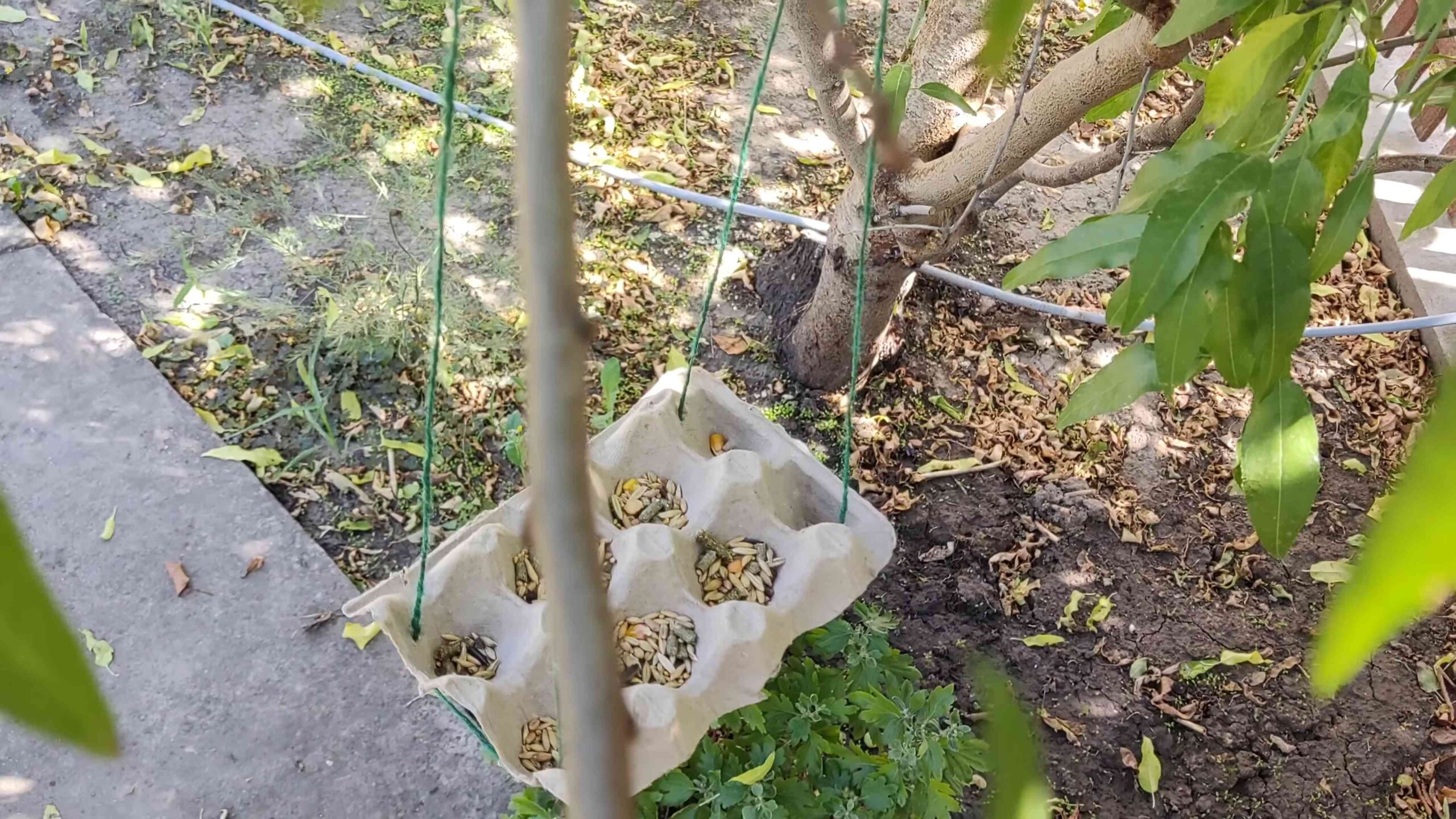 Einfache DIY Vogelfutterstation
